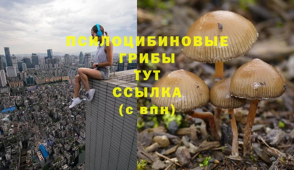 дживик Бронницы