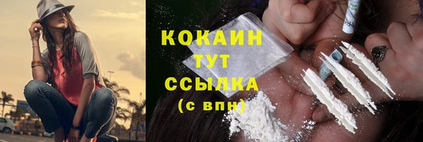 дживик Бородино