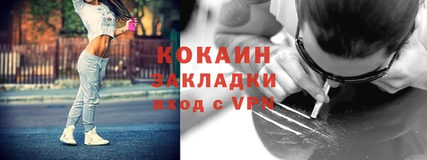 дживик Бронницы