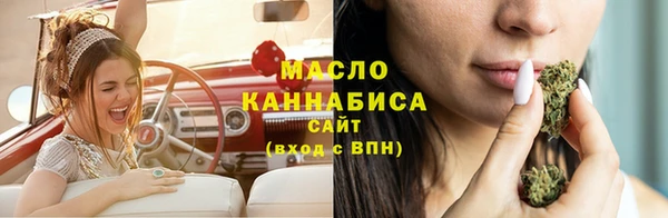 дживик Бородино