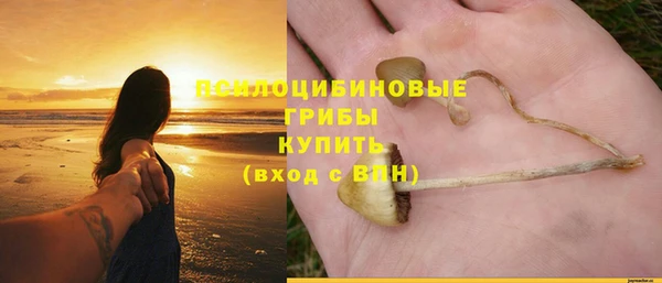 альфа пвп Бугульма