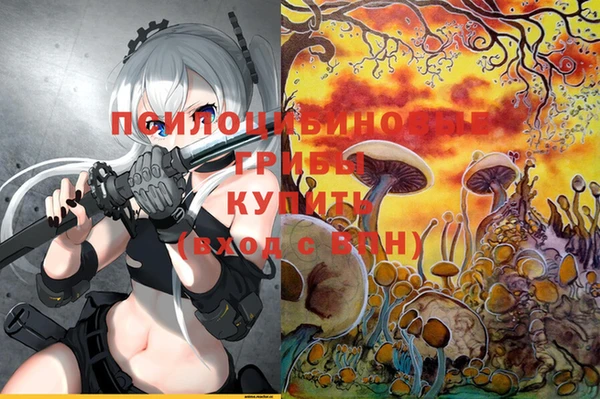 альфа пвп Бугульма
