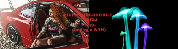 дживик Бородино