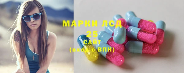 дживик Бородино