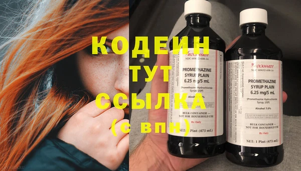 дживик Бородино
