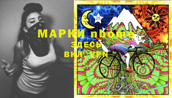 дживик Бронницы