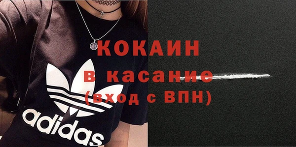 дживик Бронницы
