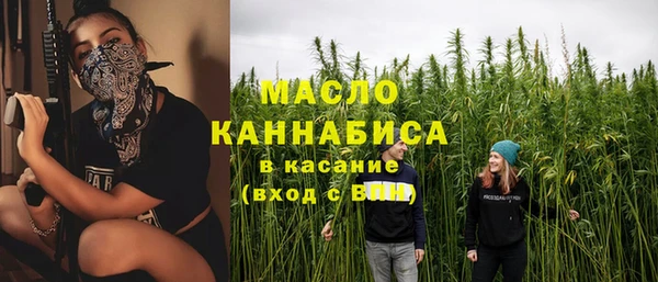 дживик Бородино