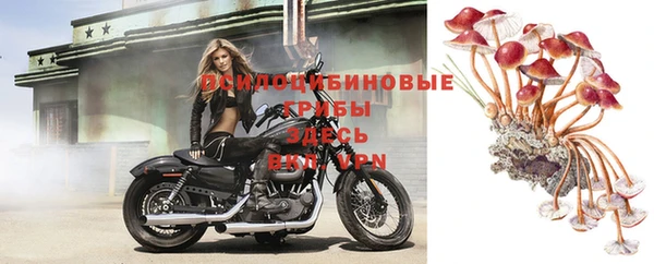 дживик Бородино