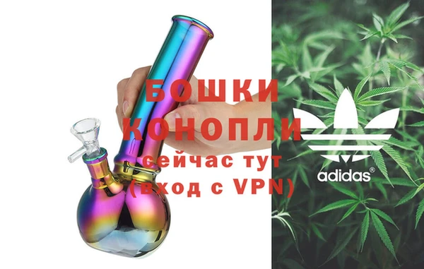 дживик Бородино