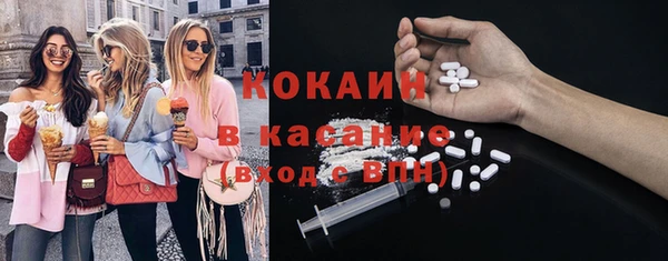 дживик Бронницы