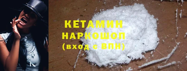 дживик Бородино
